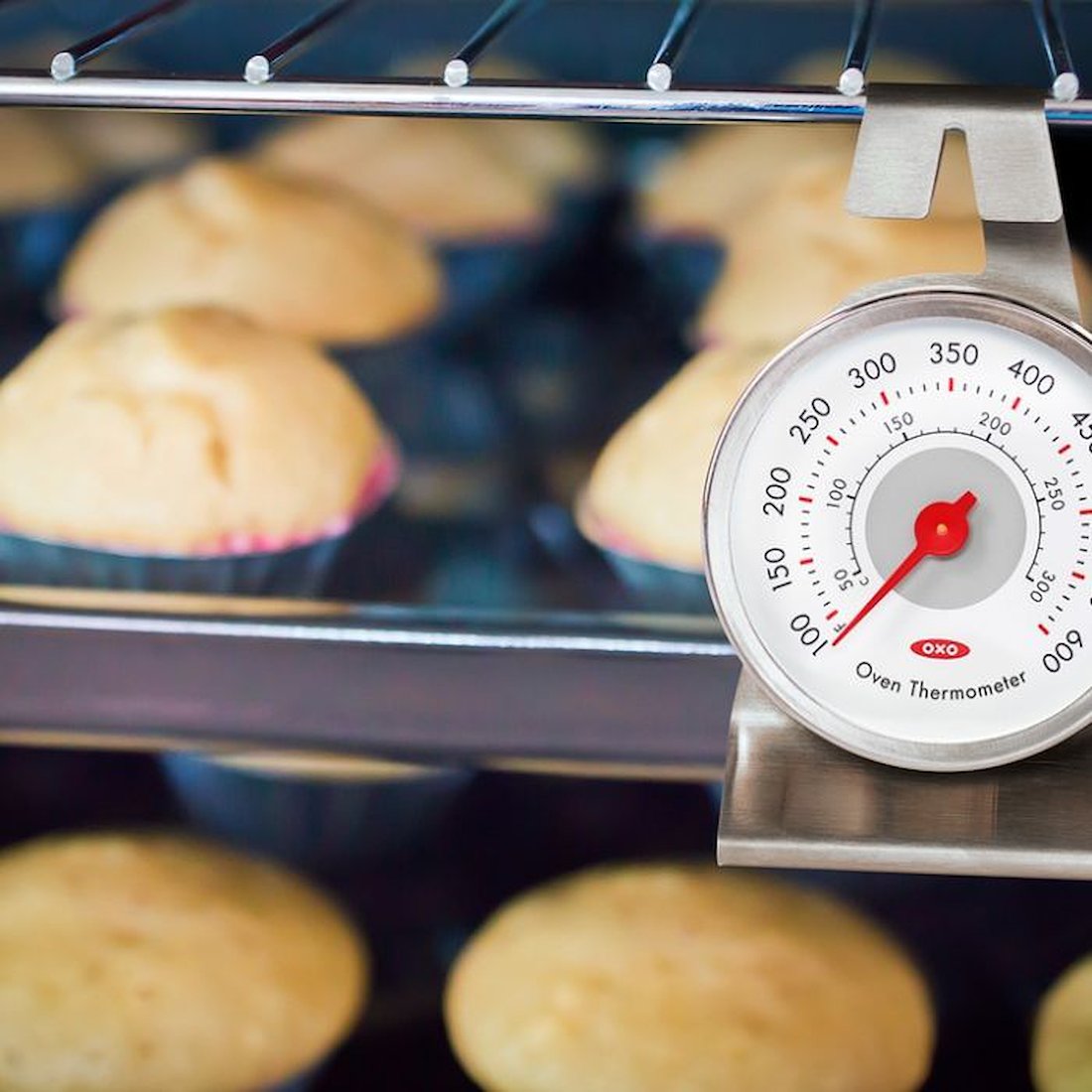Oven thermometer detail — multi position hook